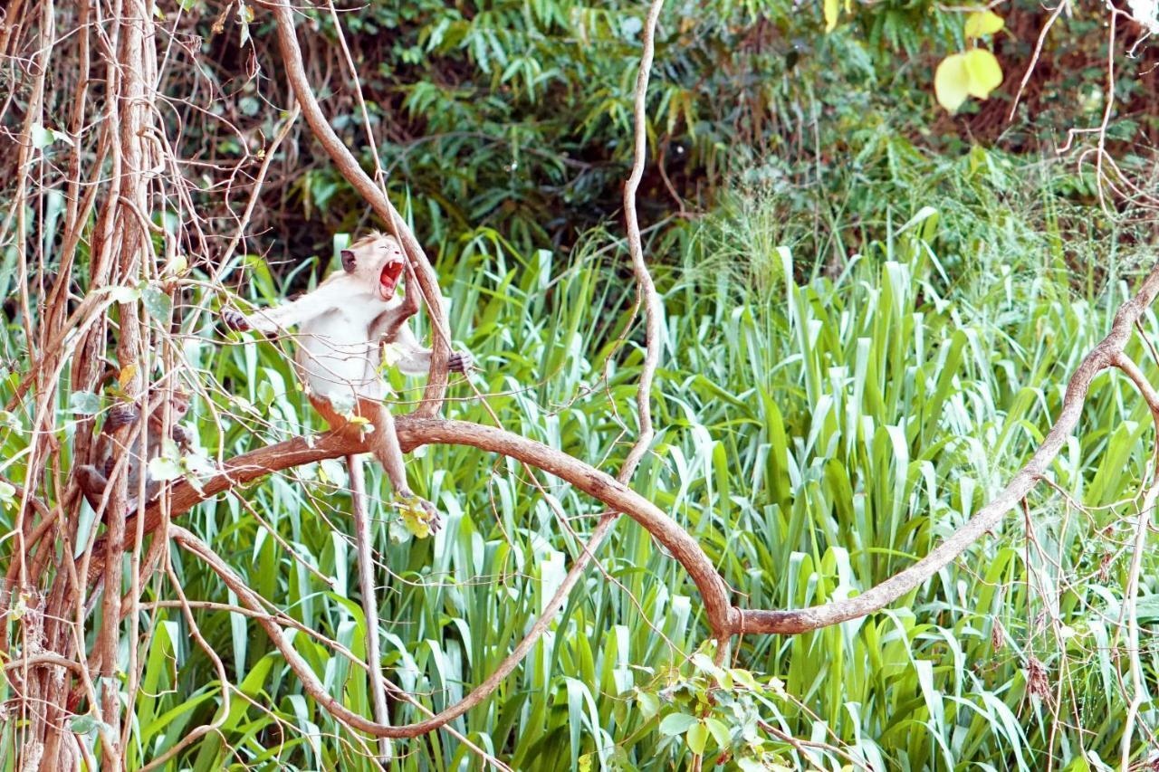 Wasgamu Safari Lodge Wasgamuwa Exteriör bild